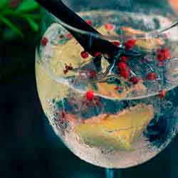 gin