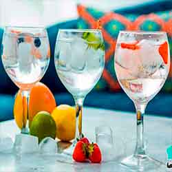 gin tonic